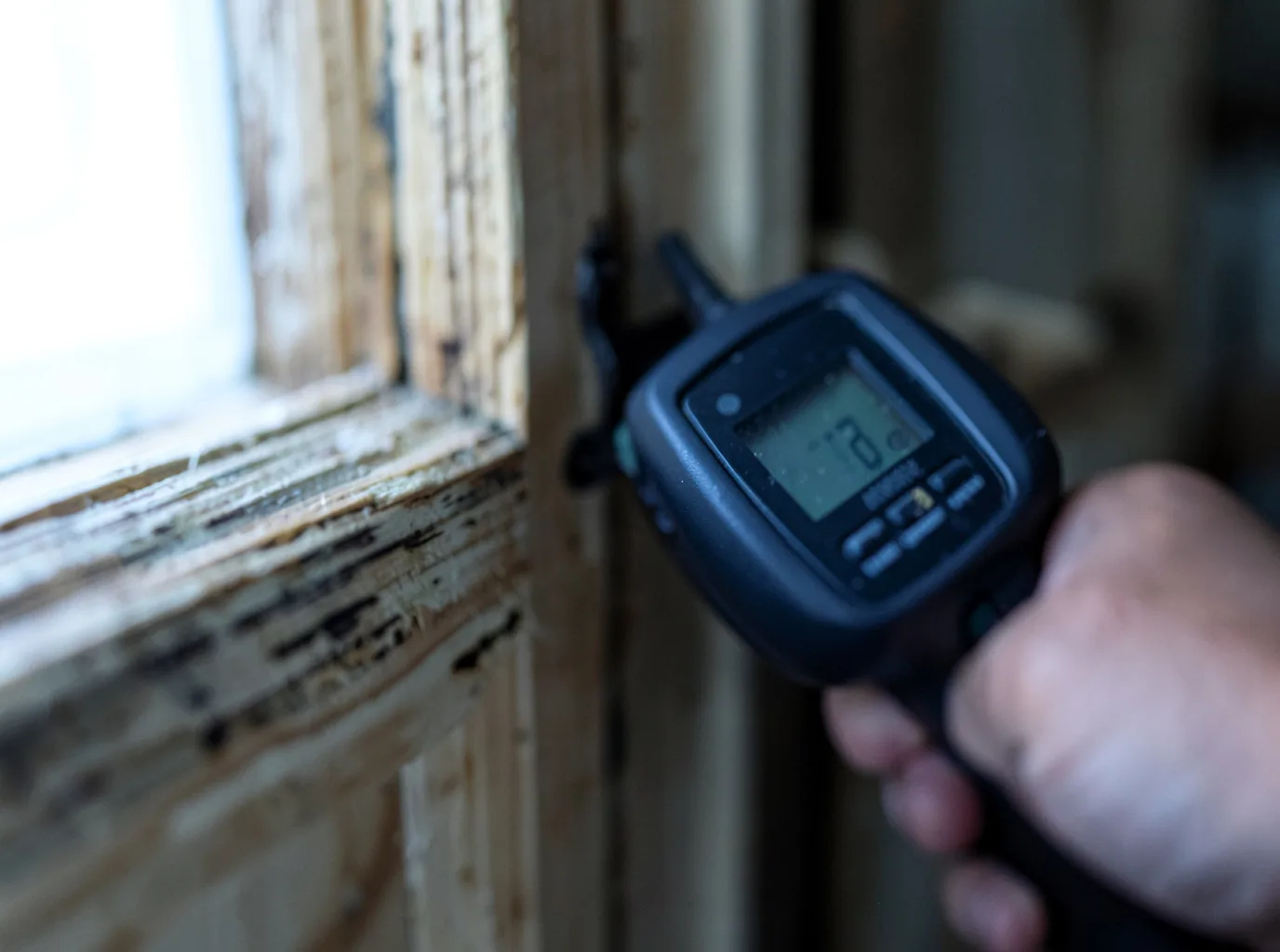 Moisture Inspection And Documentation in Alice, TX
